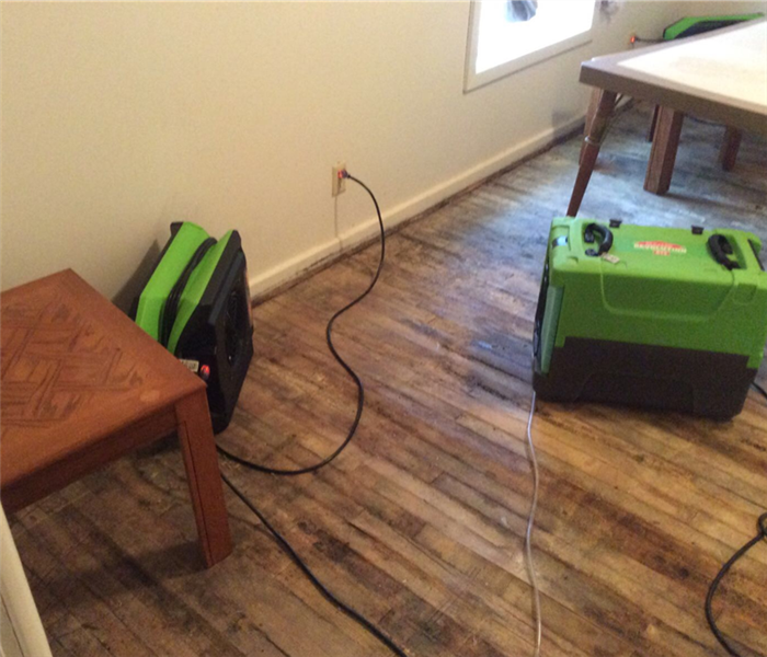 hardwood floor with green drying equipment and small table
