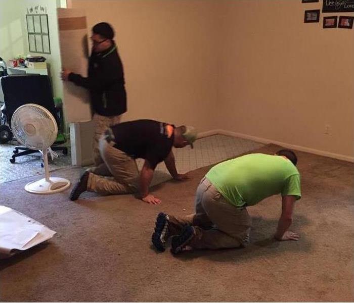 carpet removal