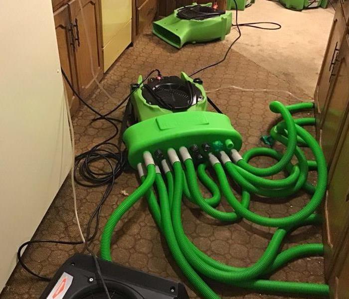 Green equipment dries wet carpet