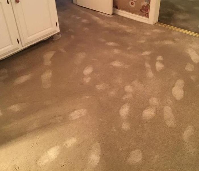 wet carpet with footprints