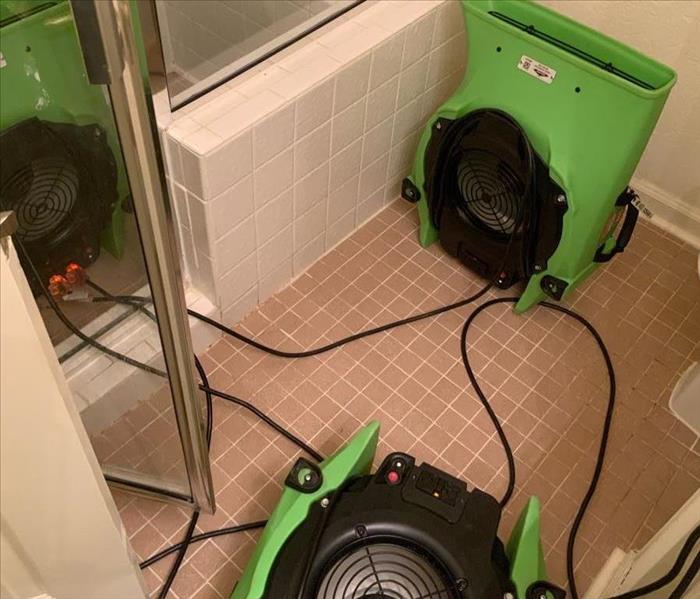 green fans in bathroom