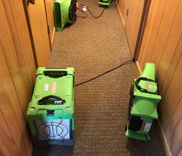 carpet hall, green equipment